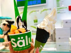 -Salud撒露欧洲冻酸奶(蓝色港湾店)