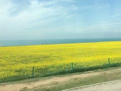 -青海湖国家重点风景名胜区