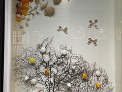 -青岛贝壳博物馆