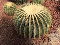 -南通洲际绿博园