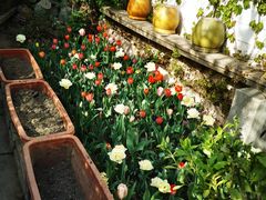 -斯多格书乡(北京大学畅春园店)