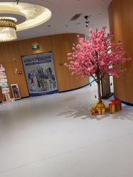 -海峡医疗美容医院