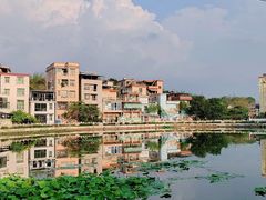 -长洲岛