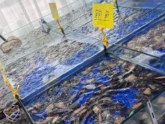 -春华海鲜城(广场西苑店)