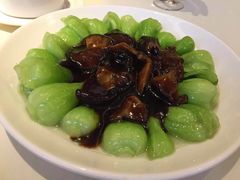 -圆苑(上海广场店)