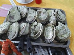 -蚝专家(北滘店)