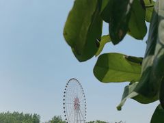-扬州天乐湖嬉乐谷