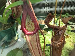 -国家植物园南园