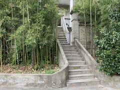 -溪口-滕头旅游景区