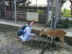 -鹿境梅花鹿生态园区