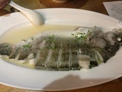 非一般的海鲈鱼-热度餐厅(老佛爷店)