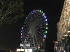 -琴岛之星摩天轮