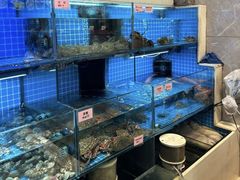 -涌觅名灶·本地海鲜宁波菜(财富广场店)