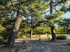 -嘉定紫藤园