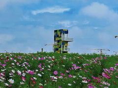 -春花秋色城市公园