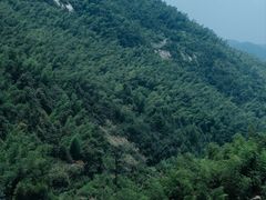 -长沙黑麋峰国家森林公园