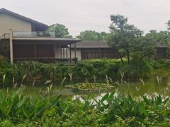 -木守西溪溪隐餐厅