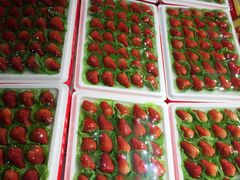 -水果天空(东葛店)