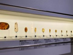 -正佳自然科学博物馆