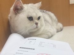 -联合动物医院(光谷诊疗中心)