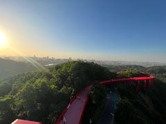 -光明刘冰乳鸽店(光明法政北路店)