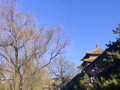 -程府宴(南长街四合院店)