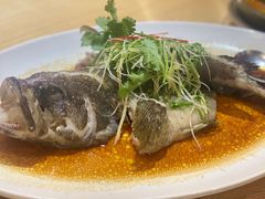 -德胜轩正宗顺德菜(宝安沙井会展中心店)