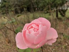 -青岛中山公园-索道售票处