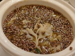 -祥记果木烤鸭·国宴豫菜