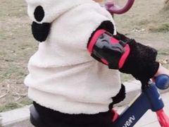 -八爪矩阵极限运动馆·儿童平衡车·感统训练(南海子公园校区)