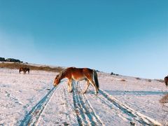 -塞罕坝国家级自然保护区