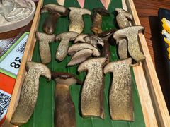 -花菇朵·云山雀 ll 野生菌火锅·精品云南菜(万柳店)