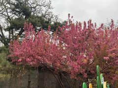 -宣武艺园