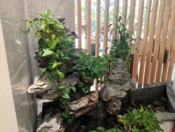 -雅曼妮spa美容养生