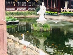 -豫园湖心亭茶楼