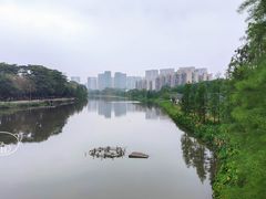 景点-怡海公园(桂城街道)