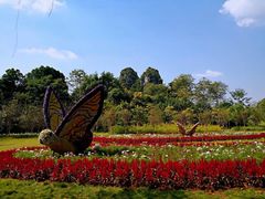 -南宁花花大世界景区