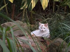 -重庆彩云湖湿地公园
