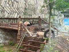 -泉州海丝野生动物世界