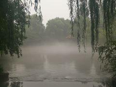 -百脉泉景区