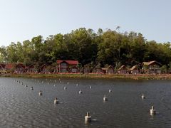 -望天湖