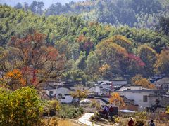 -塔川景区