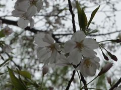 -堤角公园