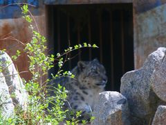 -青藏高原野生动物园