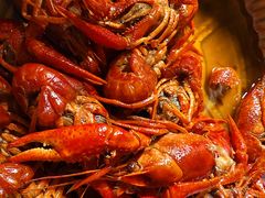 -海岛八号龙虾烧烤田鸡(蓝天路总店)