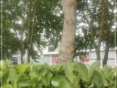 -CoCo都可(建外SOHO店)