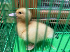 -愿者上钩(龙华华润万家店)