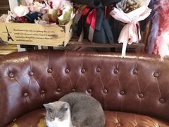 -花十悦·鲜花咖啡餐厅(振业城一期店)