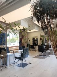 -Hair  Gallery