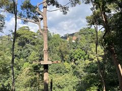 -清迈丛林飞跃 JungleFlight